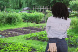 The Garden.