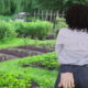 The Garden.