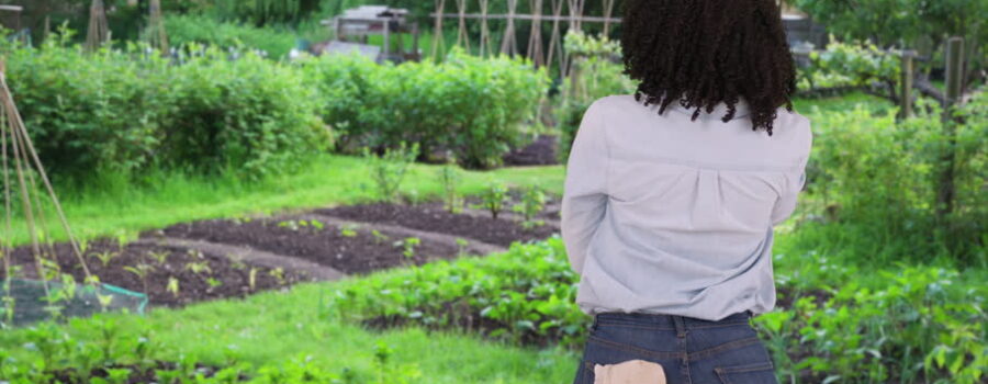 The Garden.